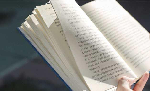 2024黨支部書記來兩學一做述職報告十二篇